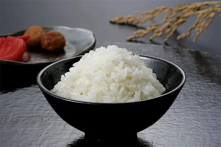 Rice